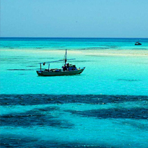 Snorkeling Day Tour in Ras Mohamed National Park